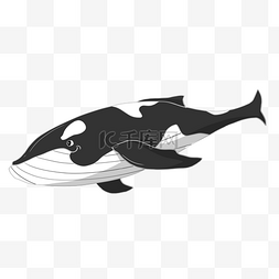 游动的黑色鲸鱼插画
