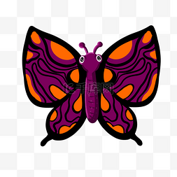 动物眼睛手绘图片_色彩鲜艳的花斑大蝴蝶