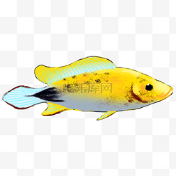 创意海洋生物图片_黄色创意海鱼元素