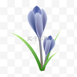 紫色花卉插画图片_手绘鲜花花卉插画