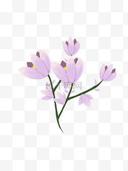 手绘植物花朵花簇绿叶紫色装饰图