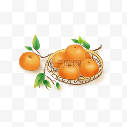 橘子手绘橘子图片_立秋丰收一篮子橘子