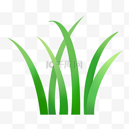 土壤小麦苗