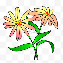 彩色叶片图片_彩色手绘植物花朵元素