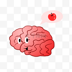 人体器官大脑 