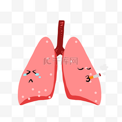 两片粉色肺器官插图