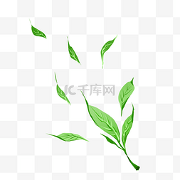 绿色创意叶子图片_创意茶叶装饰插画