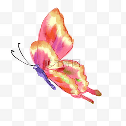 手绘水彩美丽的蝴蝶插画