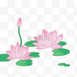 中国风卡通粉红色荷花