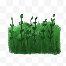 春天绿色植物插画图片_春天植物草绿色手绘插画
