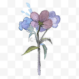 蓝色系水彩花朵图片_蓝紫色系花束花朵免扣