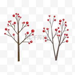 圣诞漫画图片_红果树植物多季节