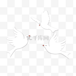 手绘白色的小鸽子设计