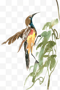 黄色亮丽图片_藤曼上的小鸟水彩画PNG免抠素材