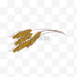 麦穗手绘素材图片_手绘卡通秋季麦穗