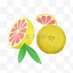 手绘果实水果西柚插画