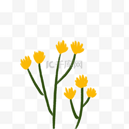 黄色的花卡通图片_卡通黄色的鲜花花朵植物