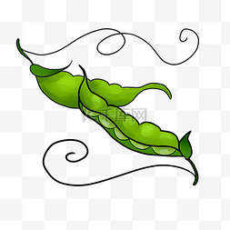 成熟的农作物豌豆插画