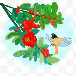 小鸟背景图图片_中国风水墨水彩工笔盛开的石榴花