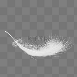 羽毛组成的鸟图片_矢量白色羽毛