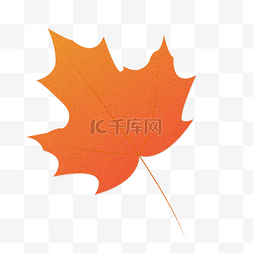秋天的枫叶图片_红色的枫叶手绘设计图