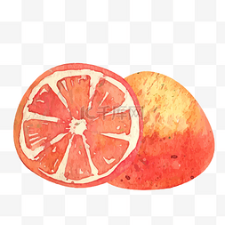 手绘水果西柚图片_矢量橙色西柚水果素材