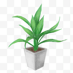 手绘绿叶竹植物插画