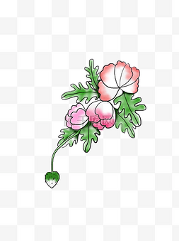 手绘花卉植物小清新风格插画