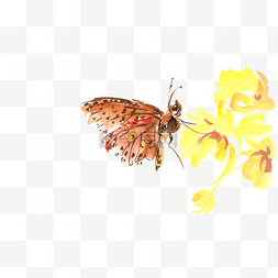 黄色亮丽图片_美丽的蝴蝶水彩画PNG免抠素材