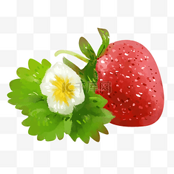 红色手绘草莓图片_红色的草莓和叶子插画
