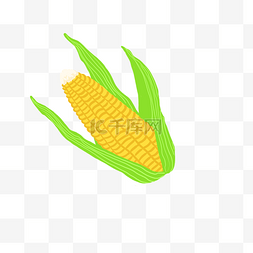 玉米海报图片_新鲜的玉米PNG