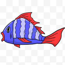 彩色可爱的鱼