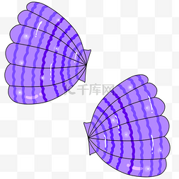 新鲜紫色贝壳
