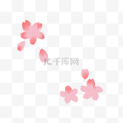 美丽粉色樱花