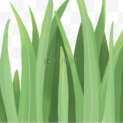 清新背景图图片_卡通手绘绿色芦苇荡背景图