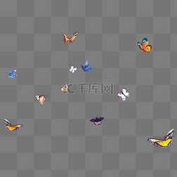 在空中飞舞的彩色蝴蝶免抠图