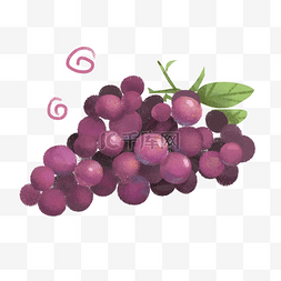手绘风树叶图片_水果紫色葡萄小清新手绘风格平面