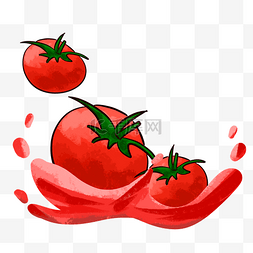 番茄培育甜味酸甜红色圆形