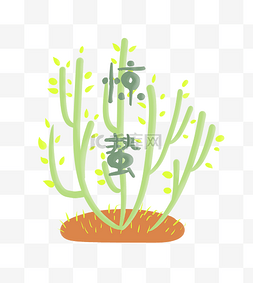 绿色植物绿植插图