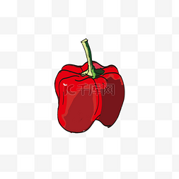 红色辣椒蔬果素材灯笼椒手绘写实