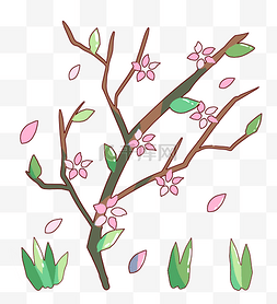 春天绽放的樱花树