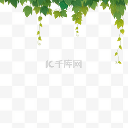绿叶水滴模板下载图片_卡通植物树藤下载