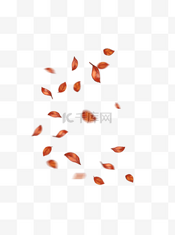 橙红色图片_漂浮的红叶秋天飘落的红色叶子秋