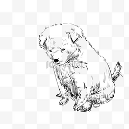 线描可爱的小狗