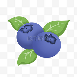 蓝莓水果插画图片_卡通蓝色蓝莓插画