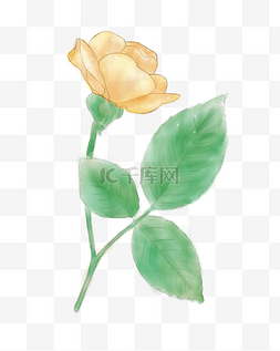 手绘玫瑰花装饰图片_七夕节爱情黄色手绘玫瑰清新装饰