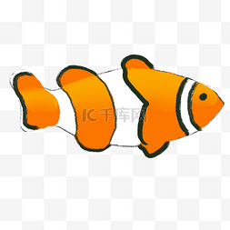 黄色鱼类图片_黄色纹理海鱼