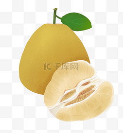 水果广告素材图片_水果主题之柚子插画