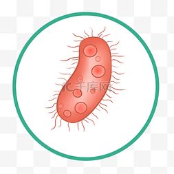 红色细菌病毒