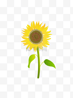 太阳花设计图片_手绘向日葵元素之小清新黄色太阳